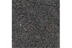 Schwarze Sonnenblume 800g